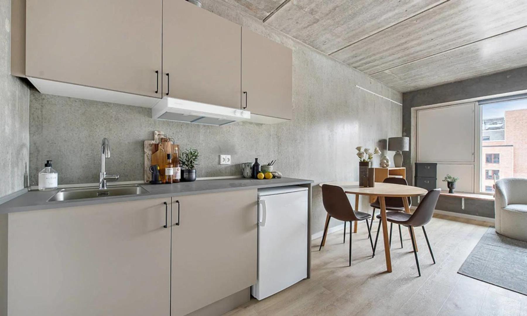 Appartement Tastefull And Modern Copenhague
